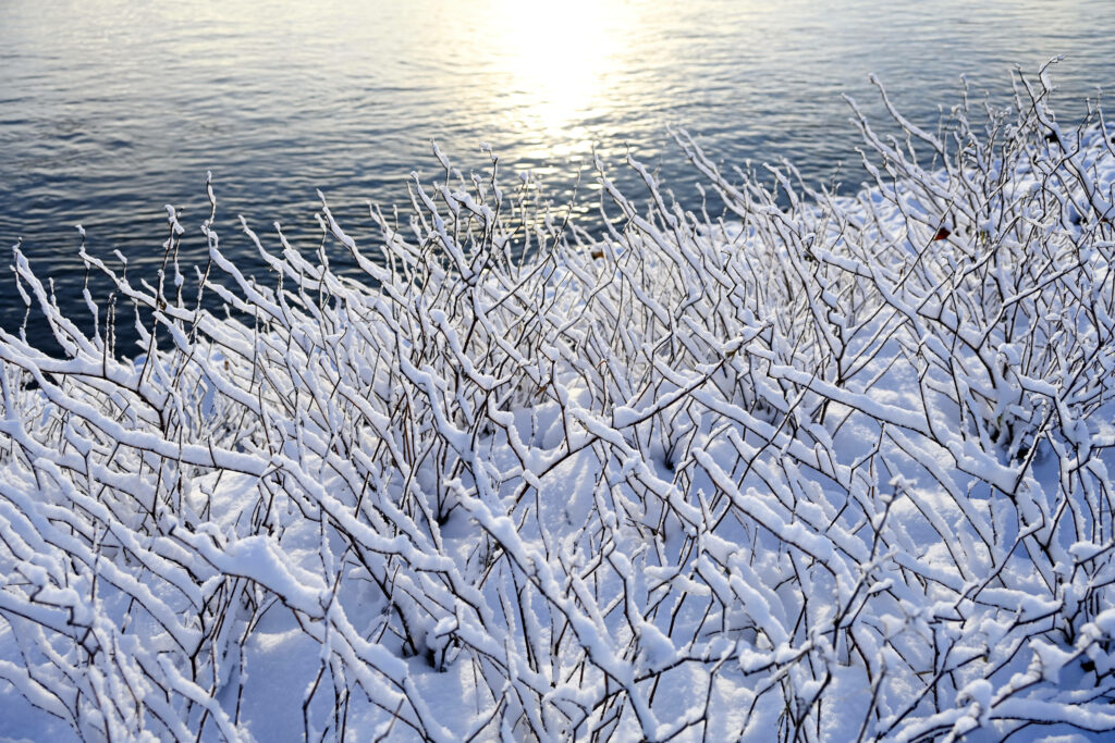 Extreme Winterlage droht deutschlandweit