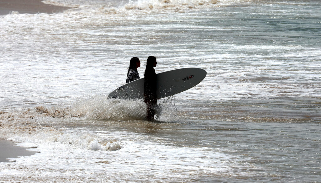 Schock: Vier Beiß-Attacken in drei Tagen – Surfer in großer Gefahr ?