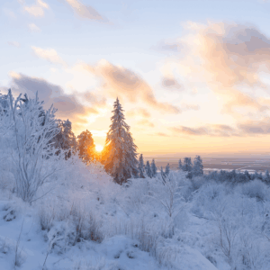 Schockfrost trifft Deutschland: So kalt wird die kälteste Nacht des Winters
