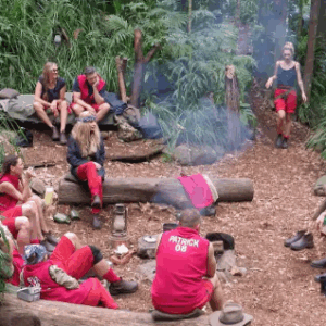 Das waren die Jobs der Dschungelcamp-Stars vor dem Ruhm