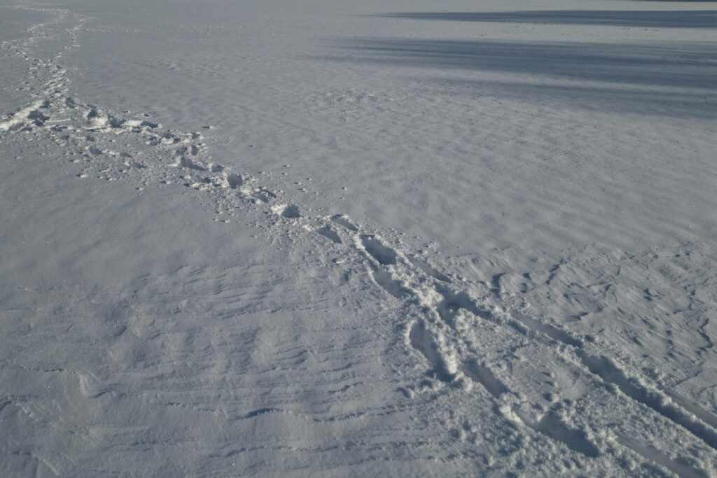 Winter-Hammer im Anmarsch! Bis zu 40 Zentimeter Neuschnee drohen – diese Regionen trifft es besonders hart