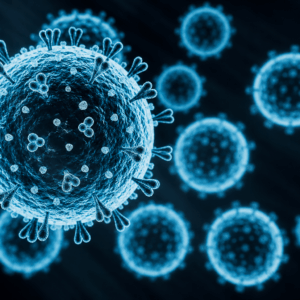 Deutschland: Nagervirus tötet erneut – zweiter Todesfall bestätigt!